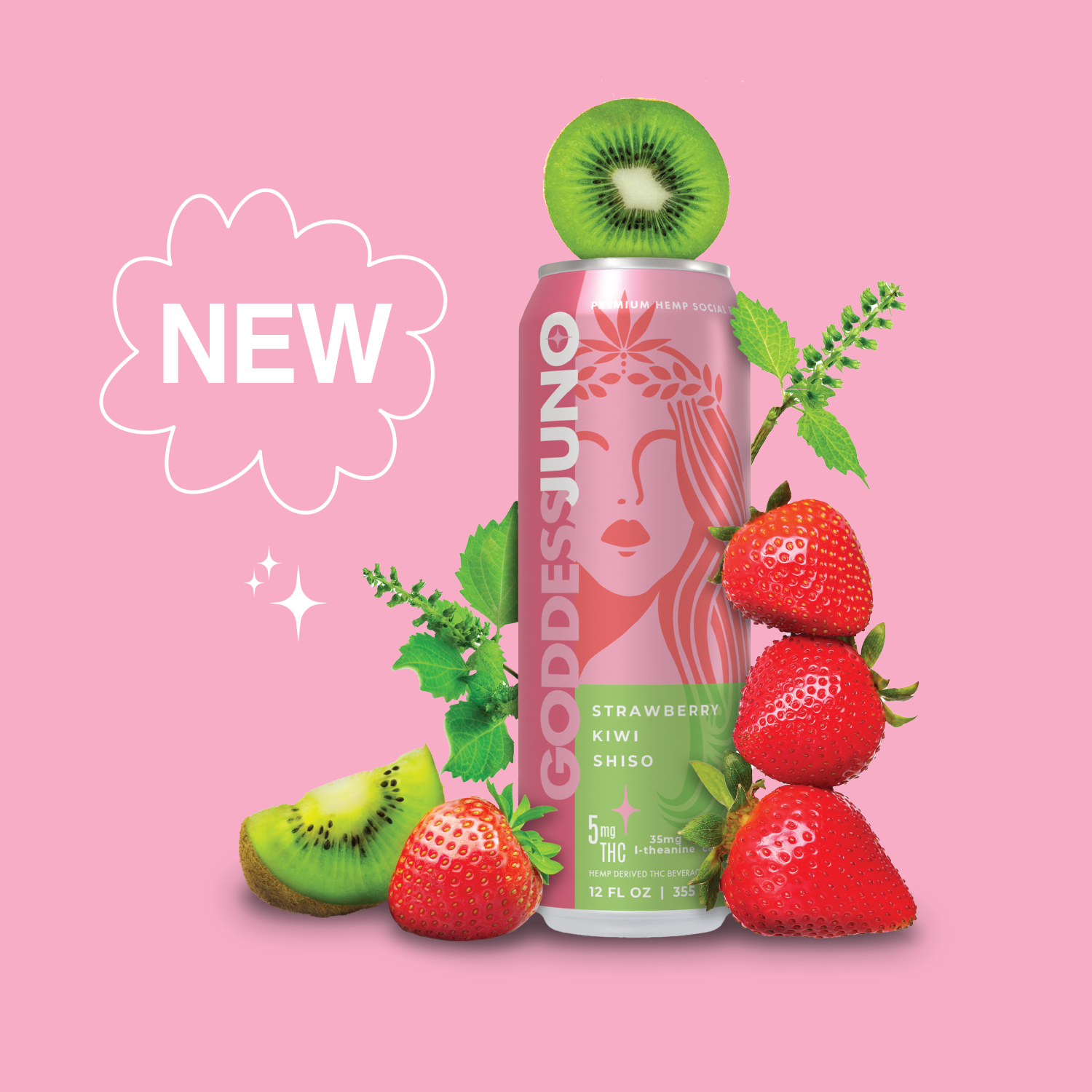 Strawberry Kiwi Shiso THC Infused Social Elixir – GoddessJuno