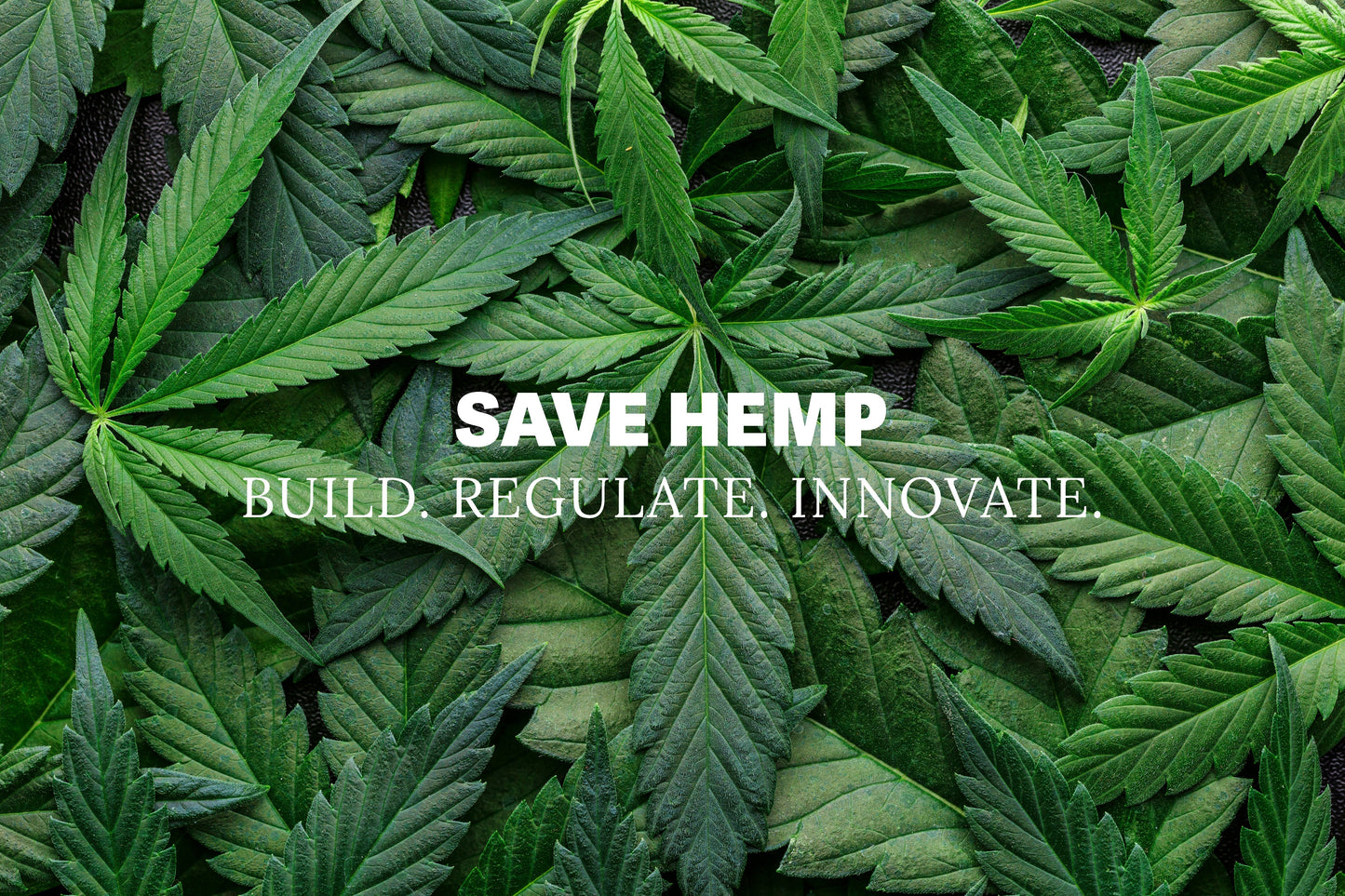 The Future of Hemp Is at Risk and Why Your Voice Matters